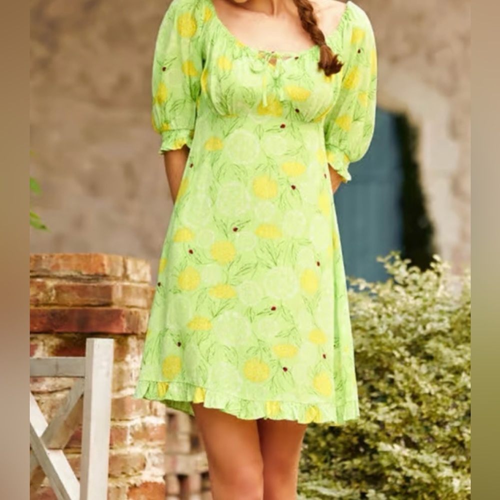Modcloth Picnic in Paradise Babydoll Dress
